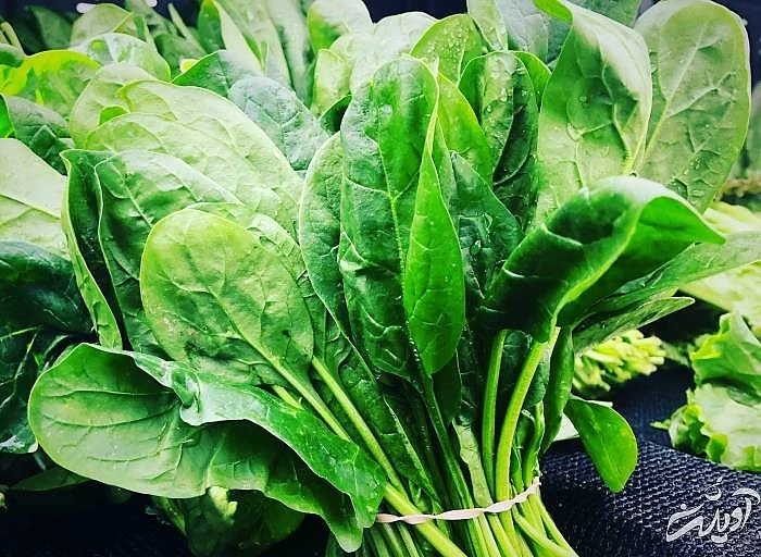 اهمیت مصرف اسفناج مصرف اسفناج